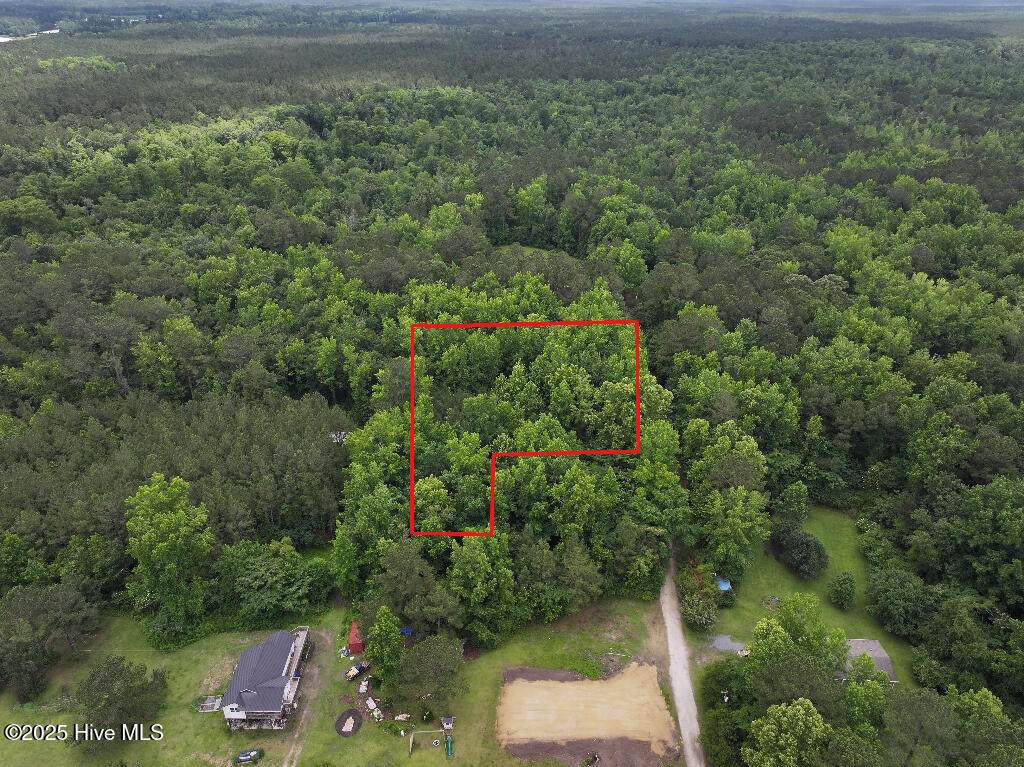 0 Off Nc Highway 210 - Photo 1