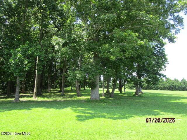 109 Swan View - Photo 1