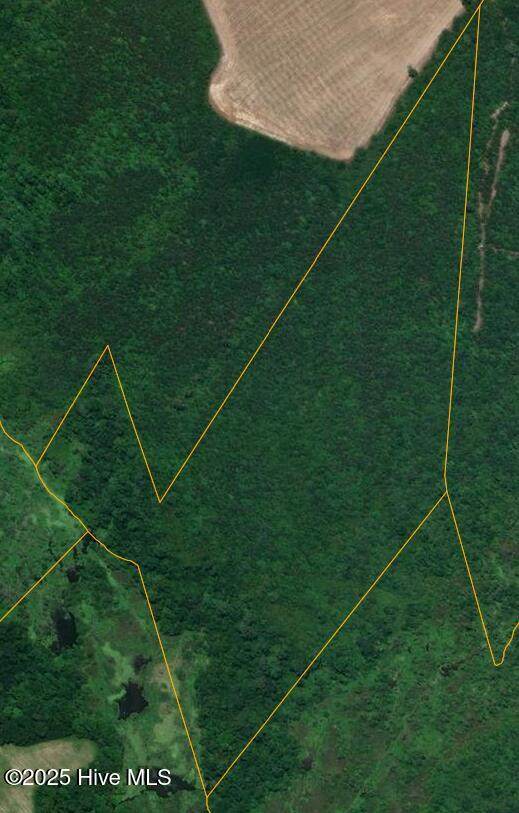 0 Darden Road - Photo 1