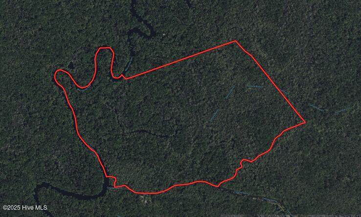 Tbd Ash Little River Road - Photo 1