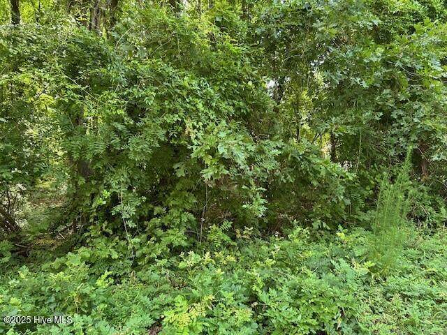 144 Hemlock Street - Photo 1