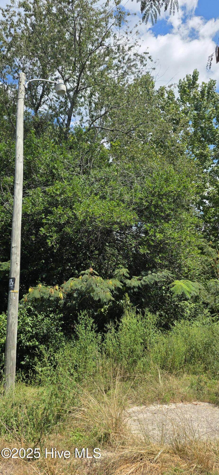 Tbd Seventh Avenue Aleo - Photo 1