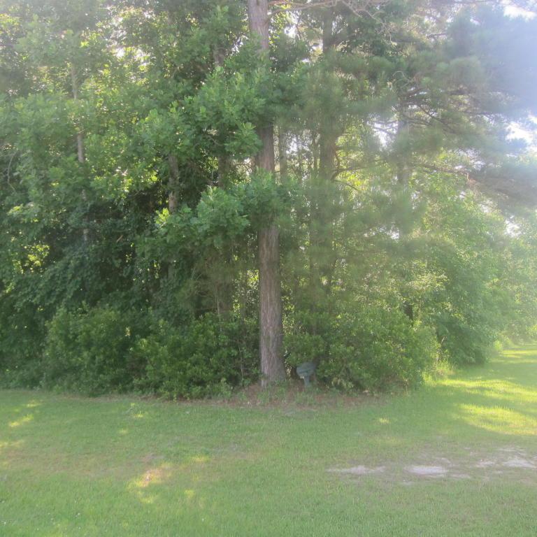 300 Limbaugh Lane - Photo 1