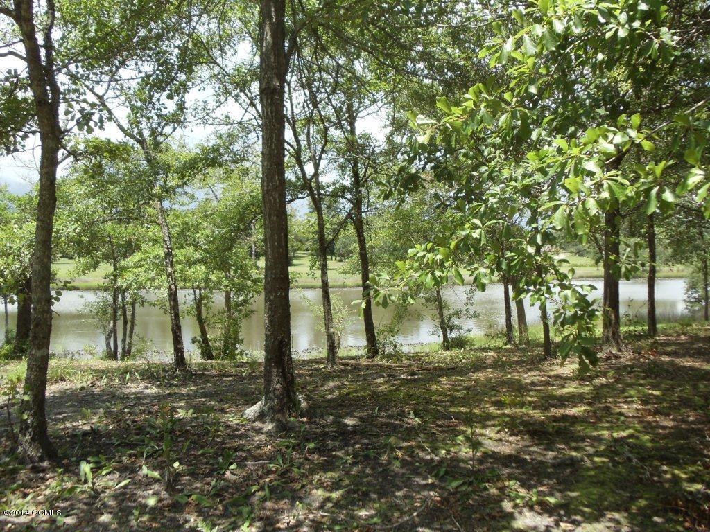 113 Lydia Drive - Photo 1