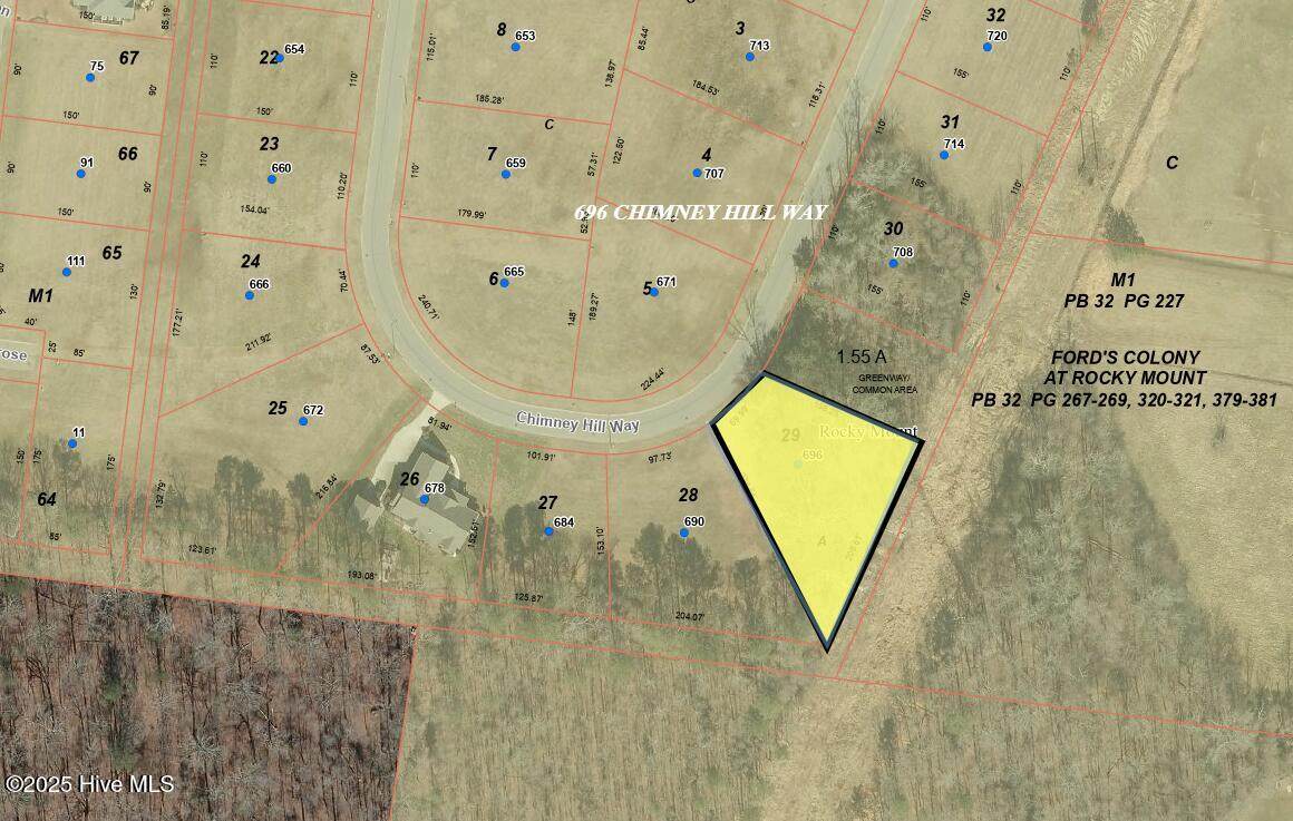 696 Chimney Hill Way - Photo 1