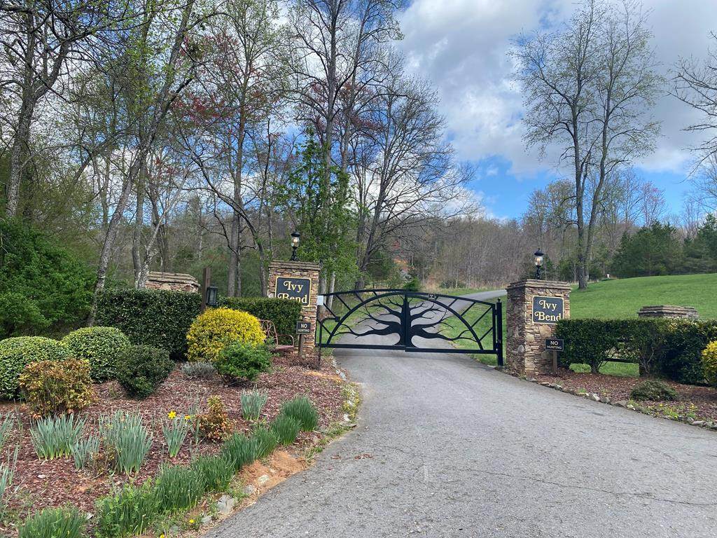 Lot 62 Jitterbug Lane - Photo 1
