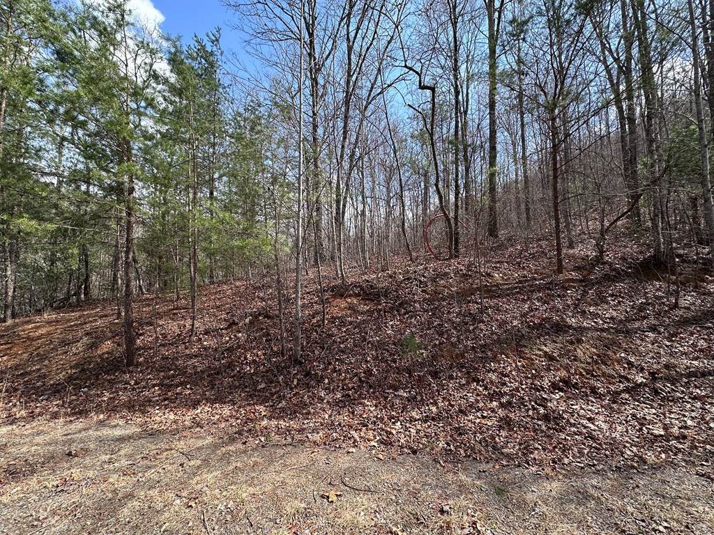 Tbd Pack Mountain Road - Photo 1