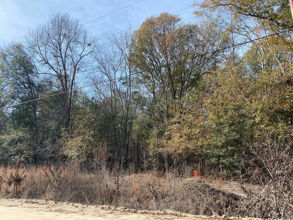 Lot 14 Robin Boulevard - Photo 1