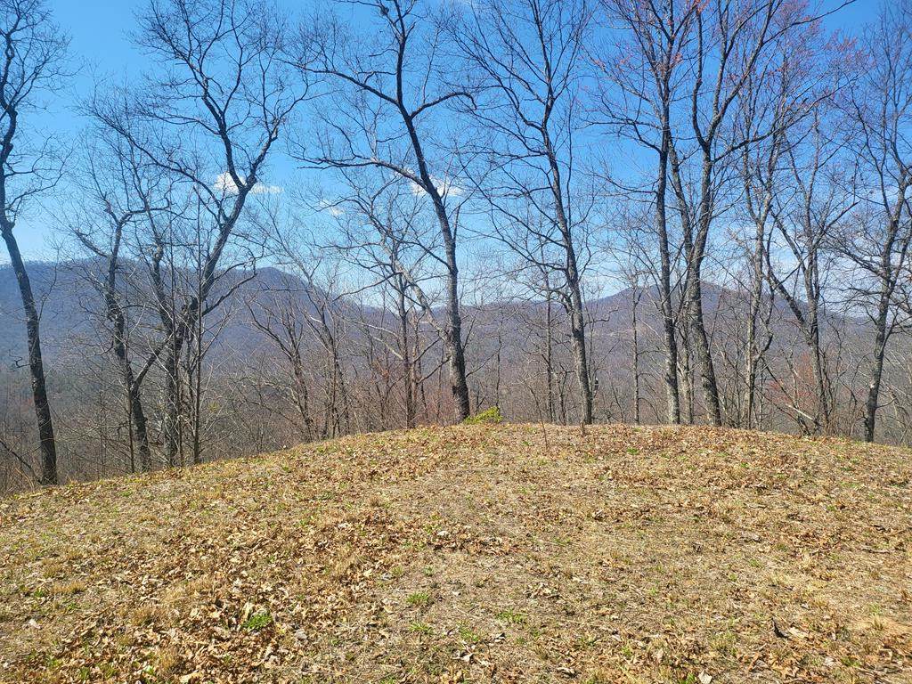 SR 1229 Dry Creek - Photo 1