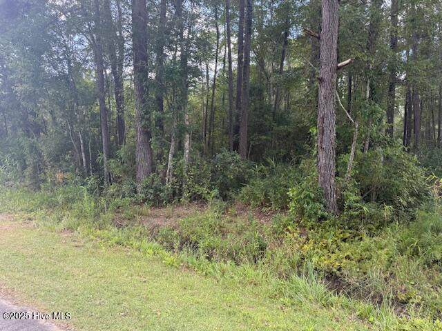 2539 Chauncey Town Road - Photo 1
