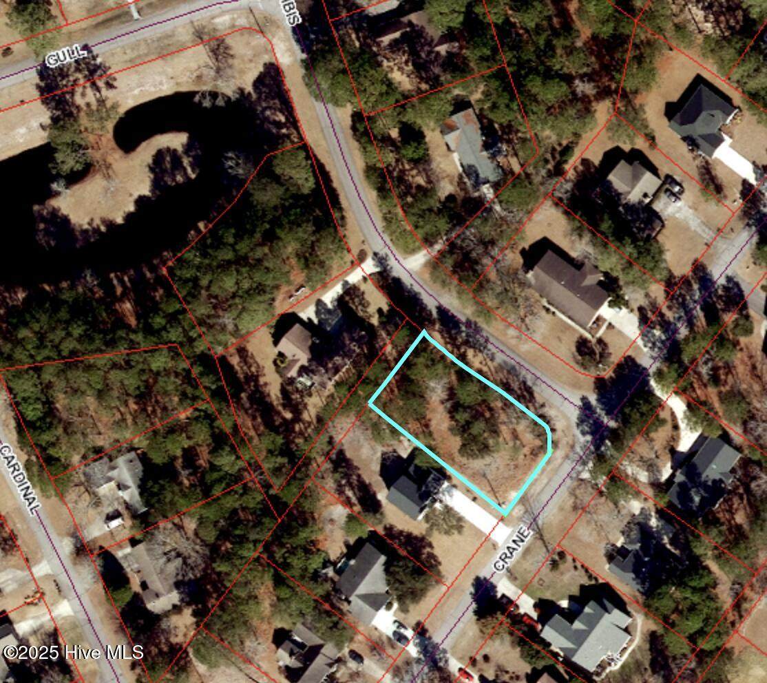 809 Crane Drive - Photo 1