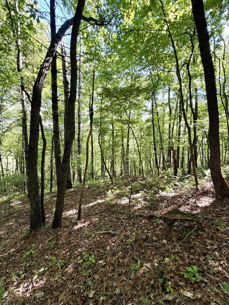 675 Ed Graves Road - Photo 1