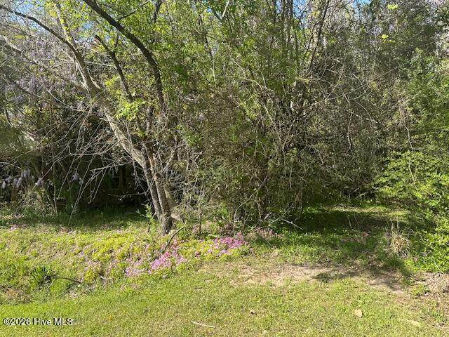 408 Mill Quarters Road - Photo 1