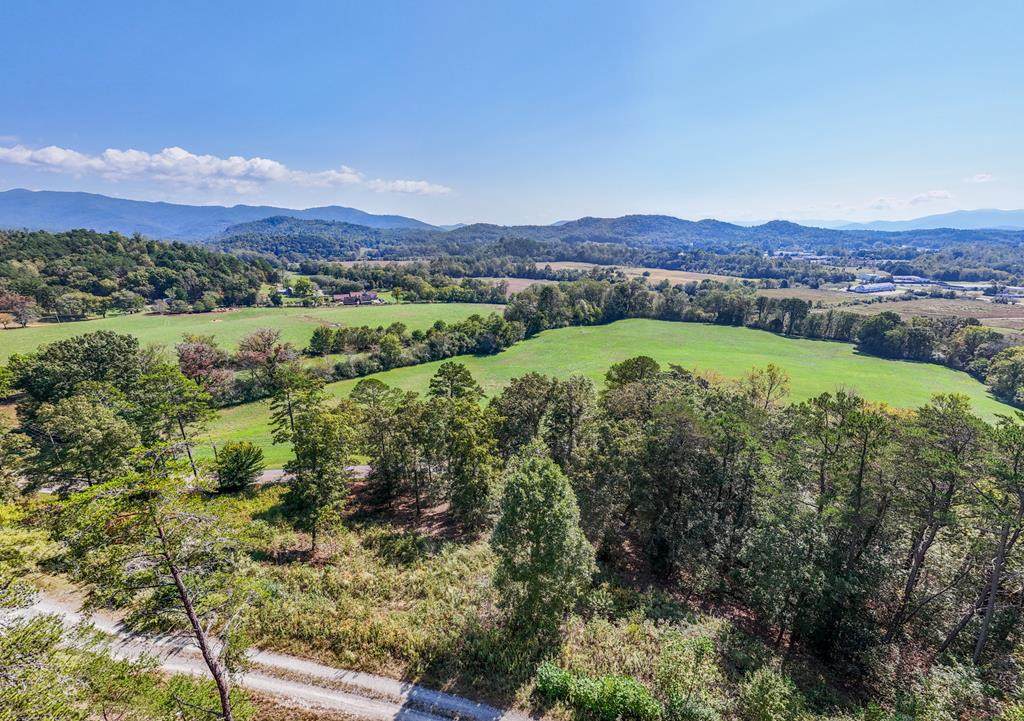 000 Mistletoe Ridge - Photo 1