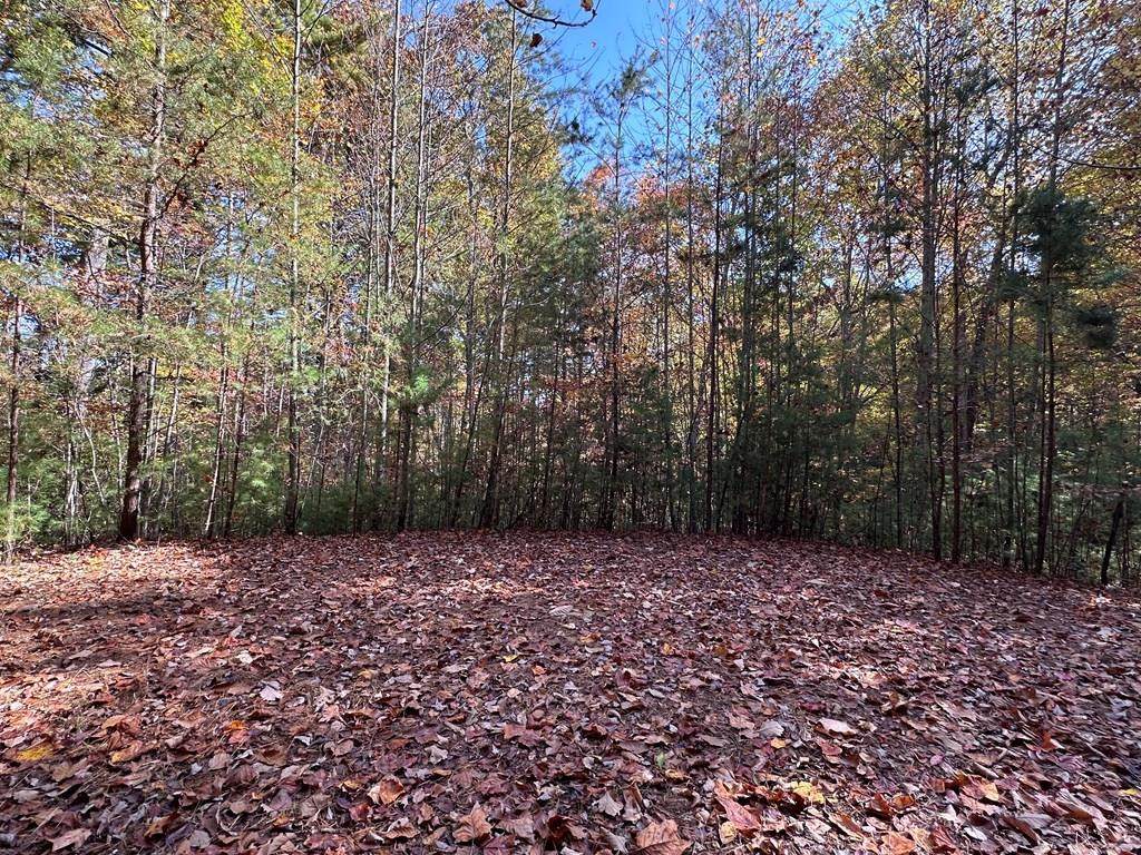 Lot 5&8 Indian Rock Springs Subdivisio - Photo 1