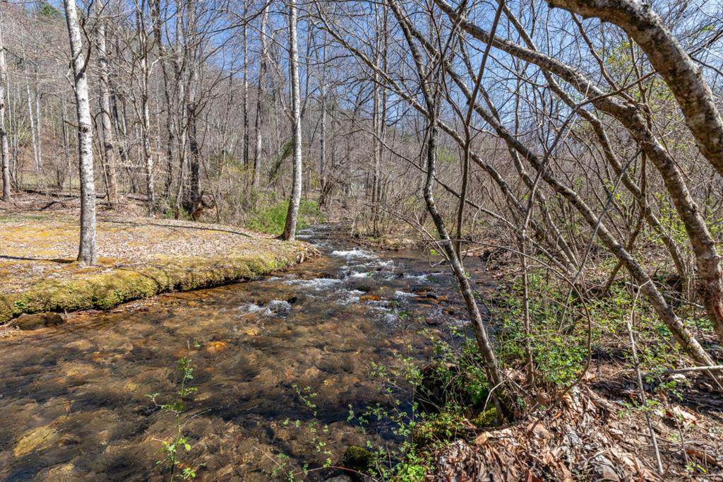 Lots 12+ Tusquittee Crossing - Photo 1