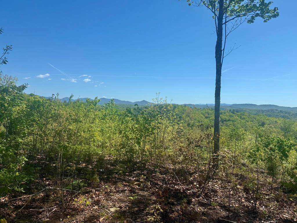 0 Wayah Ridge - Photo 1