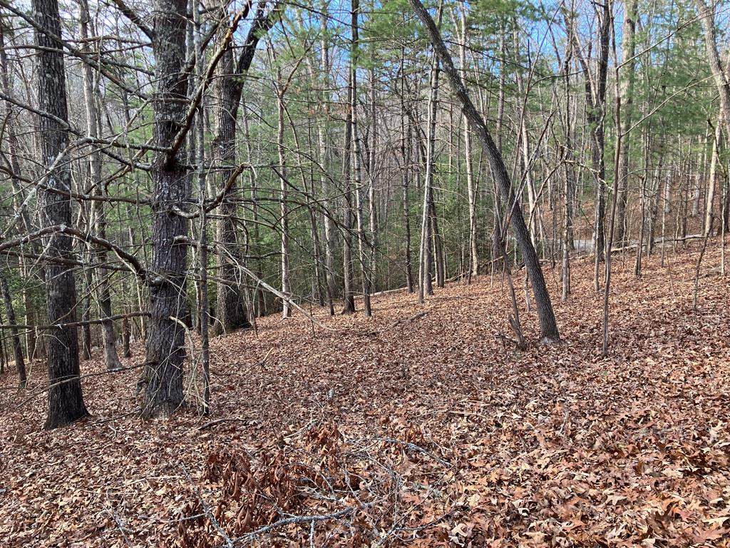 Lot 26a Amandas Way - Photo 1