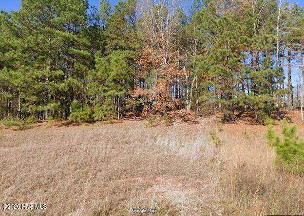 8224 Buckhorn Landing Road - Photo 1