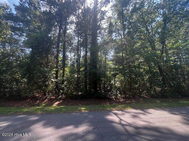 5710 Barbary Coast Drive - Photo 1