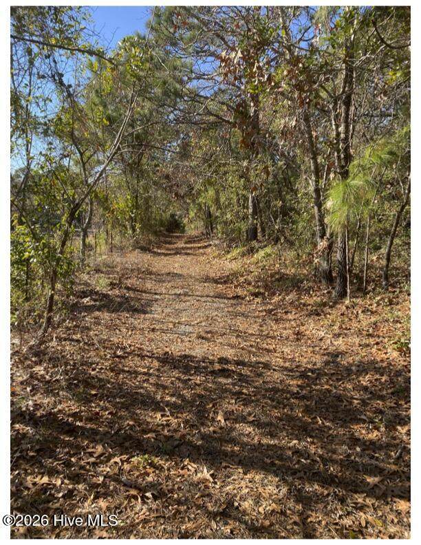 6511 Carolina Beach Road - Photo 1