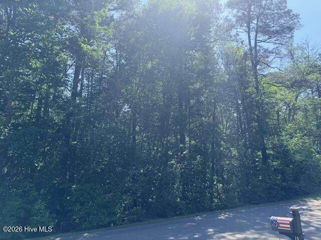 20 Timuquana Trail - Photo 1