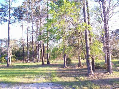 2849 Holden Beach Road - Photo 1