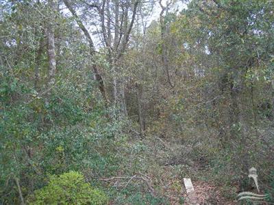 1051 Ferry Landing Drive - Photo 1