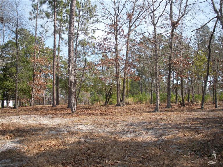 550 River Heights Trace - Photo 1
