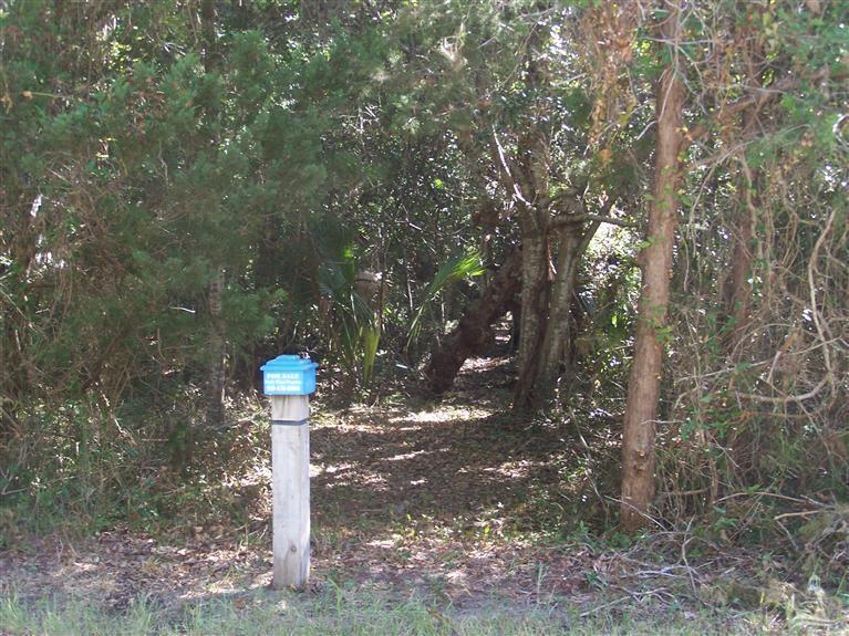 231 Stede Bonnet Wynd, Bald Head Island, NC 28461 (MLS #20668935) :: Century 21 Sweyer & Associates