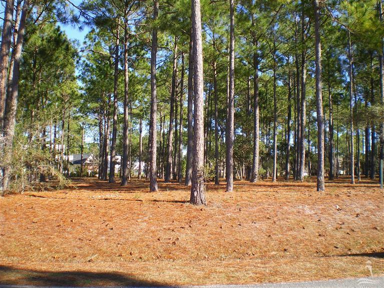 525 Planters Ridge Drive SW, Sunset Beach, NC 28468 (MLS #20679537) :: Century 21 Sweyer & Associates