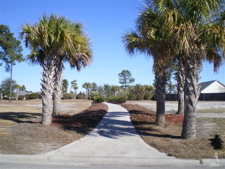 1056 Golden Sands Way, Leland, NC 28451 (MLS #20679966) :: Century 21 Sweyer & Associates