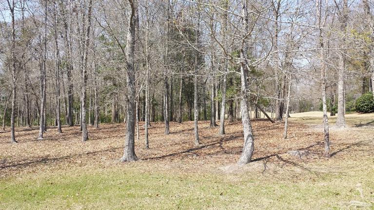 64 Plantation Passage Drive - Photo 1