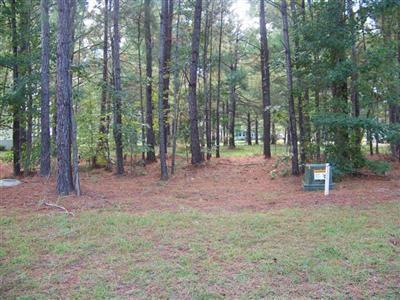 8827 Rutherford Drive - Photo 1