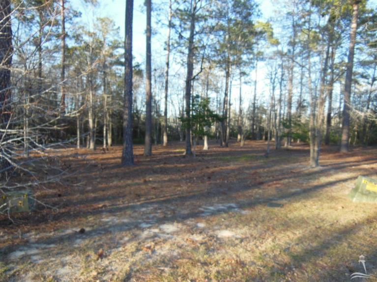 1577 Golden Marsh Court SE, Bolivia, NC 28422 (MLS #20681756) :: Century 21 Sweyer & Associates