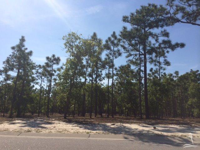 3585 Bristlecone Bnd, Southport, NC 28461 (MLS #20682893) :: Century 21 Sweyer & Associates