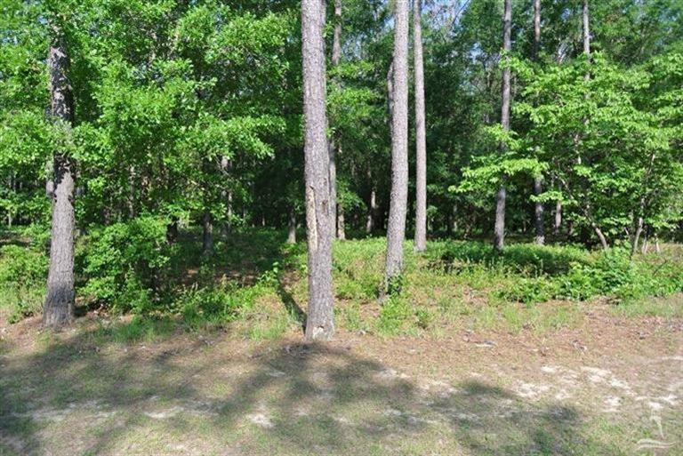 508 Hearthside Drive - Photo 1