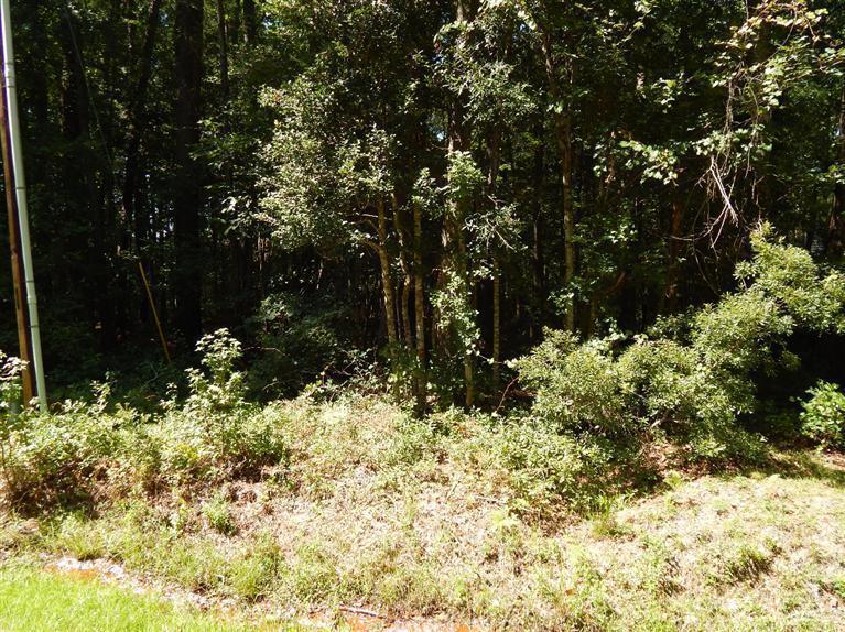 25 Sunfield Drive - Photo 1