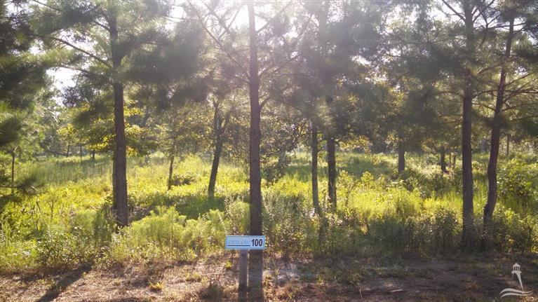 648 Sanctuary - Photo 1