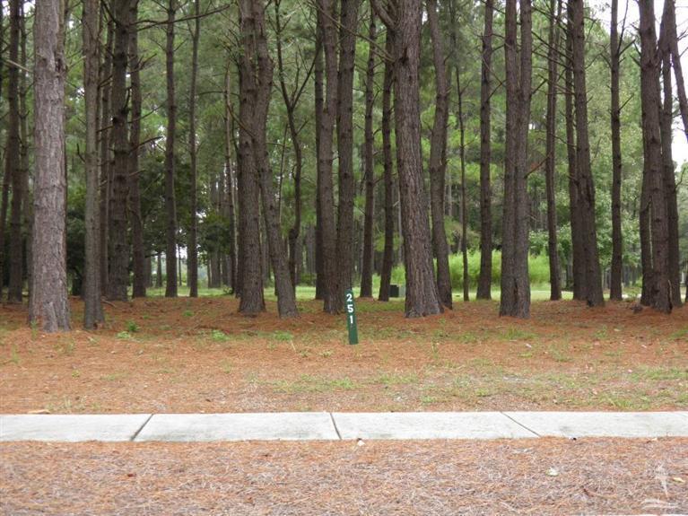 9290 Lake Road - Photo 1