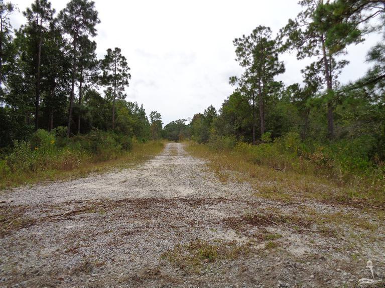 2000 Southport Lane - Photo 1