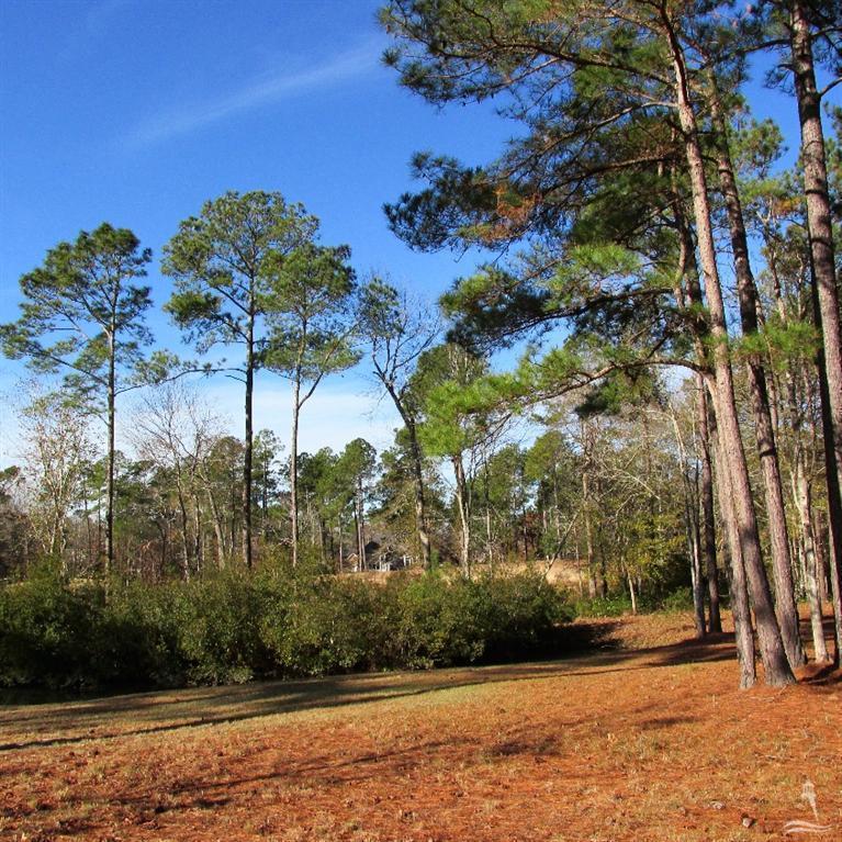350 Broad Leaf Lane - Photo 1