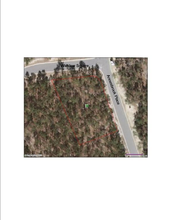 Lot 82 Wicklow Square - Photo 1