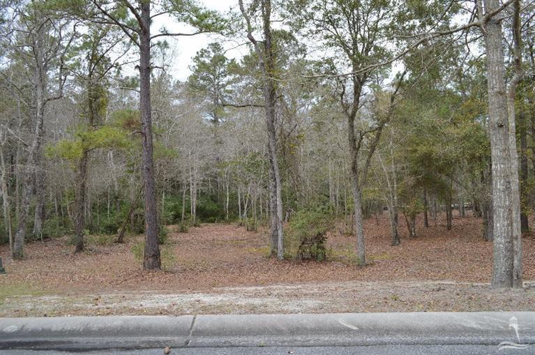 599 Carvalho Terrace - Photo 1