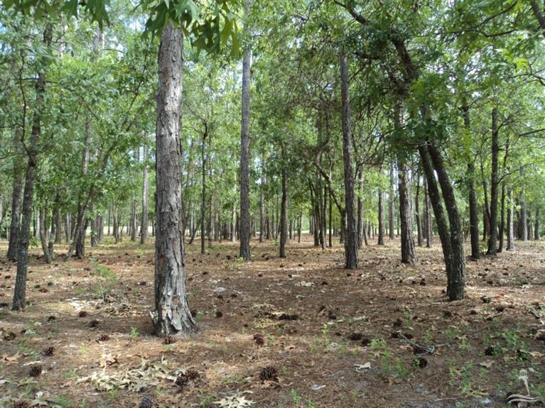 4142 Brookfield Way, Southport, NC 28461 (MLS #20691235) :: Century 21 Sweyer & Associates