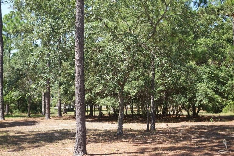 4549 Regency Crossing - Photo 1