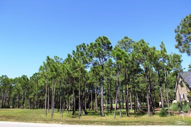 3138 Moss Hammock Wynd - Photo 1