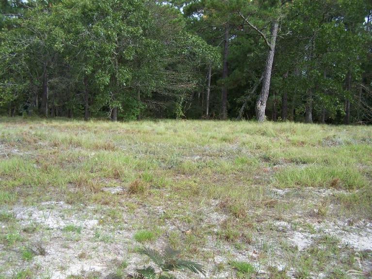 2220 Polly Branch Drive SW, Supply, NC 28462 (MLS #20696705) :: Century 21 Sweyer & Associates