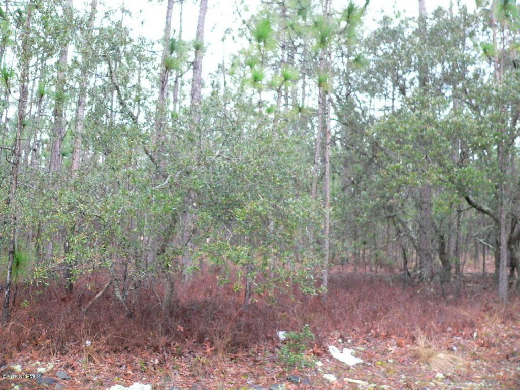 898 Eden - Photo 1