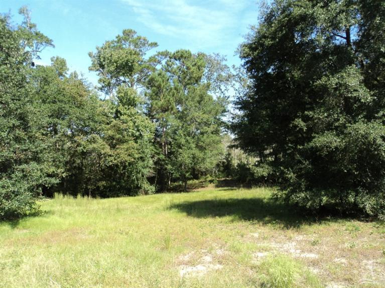 5132 Prices Creek Drive - Photo 1